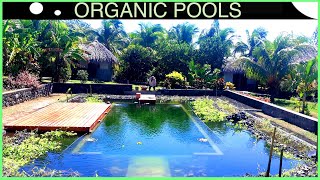 Making a Tropical Natural Pool  DIY build in 3 mins [upl. by Kcaj]