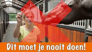 Doe dit NOOIT  PaardenpraatTV [upl. by Kain]