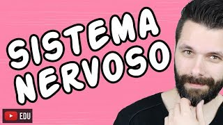 SISTEMA NERVOSO  FISIOLOGIA  Aula  Biologia com Samuel Cunha [upl. by Boyes898]