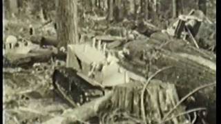 Allison Logging  Coastal Logging in the early 20th Century [upl. by Kreindler540]