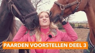 Paarden voorstellen deel 3  PaardenpraatTV [upl. by Matthus]