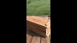 DIY squirrel or rabbit live trap [upl. by Chelsey]