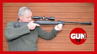 Gamo Whisper Sting breakbarrel air rifle review [upl. by Okihcas]