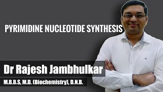 Pyrimidine nucleotide synthesis and degradation [upl. by Misty]