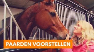 Paarden voorstellen  PaardenpraatTV [upl. by Fleta575]