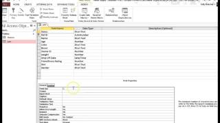 Access  Field Size [upl. by Itirp]