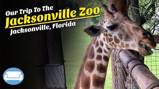 Tour of Jacksonville Zoo and Gardens Total Experience Ticket Jacksonville Florida [upl. by Knitter]