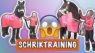 SCHRIK TRAINING MET EVE EN VITO  PaardenpraatTV [upl. by Nigam]