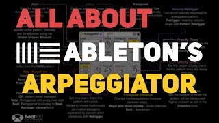 All About Abletons Arpeggiator [upl. by Enilecram]