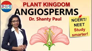 Angiosperms  Plant kingdom [upl. by Lordan604]