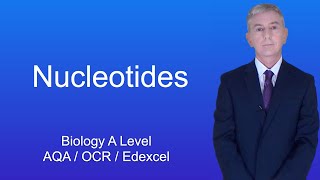 A Level Biology Revision quotNucleotidesquot [upl. by Francine]