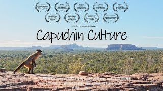 Capuchin Culture [upl. by Fisch]