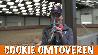 Paard omtoveren tot eenhoorn  PaardenpraatTV [upl. by Bourke]