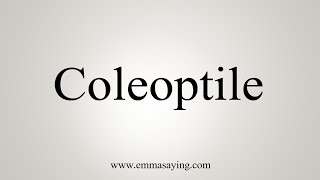 How To Say Coleoptile [upl. by Ahterahs]