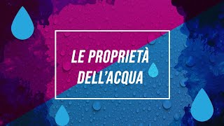 Proprietà dellacqua  Pillole di scienza [upl. by Analah541]