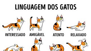 COMO ENTENDER MELHOR O SEU GATO [upl. by Elyac397]