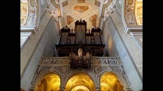 musique baroque pour orgue [upl. by Nipahc]