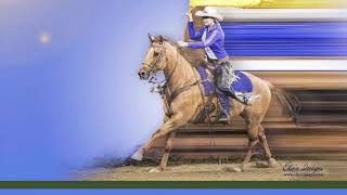 2020 Wrangler National Finals Rodeo Flag Girl Audition  Elyssa Leininger [upl. by Kataway716]