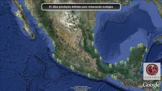 CONABIO Manglares de México [upl. by Federico]