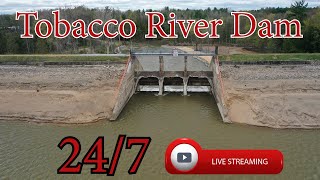 Tobacco River Dam  Michigan  247 HD Live Stream [upl. by Keel]