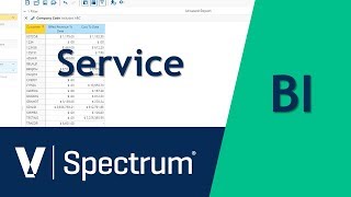 Spectrum BI Service [upl. by Bendite644]