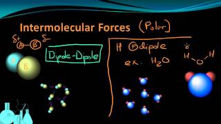 Chemistry 49 Intermolecular Forces [upl. by Mctyre829]