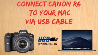 Canon R6 tip 3 How to connect to a Mac via USB cable [upl. by Mozza]