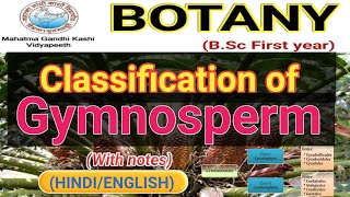 Classification of Gymnosperms [upl. by Scottie]