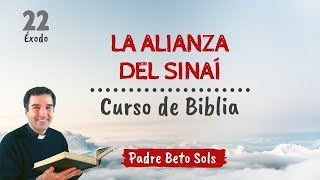 💥 La GUERRA de la TRIPLE ALIANZA en 12 minutos💥  La mayor guerra de la historia de América Latina [upl. by Bowers]