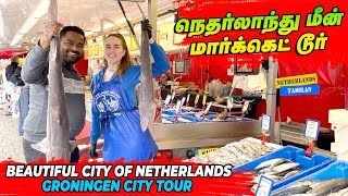 நெதர்லாந்து மீன் மார்க்கெட் டூர்  Groningen city tour Netherlands tamilan [upl. by Conlan]