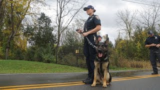 Police Dog Training your best friend [upl. by Htur]