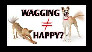 Dog Tail Wags Explained by Science  Dog Body Language [upl. by Gildas364]