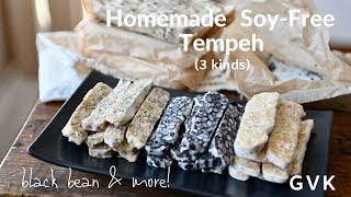 Soy  Free Tempeh 3 kinds [upl. by Aimas]