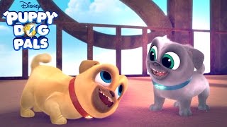 New Series  Puppy Dog Pals  Disney Junior [upl. by Yot]