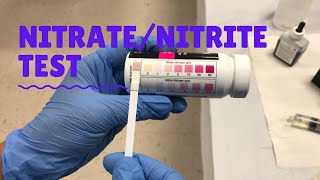 NitrateNitrite Test [upl. by Monto]