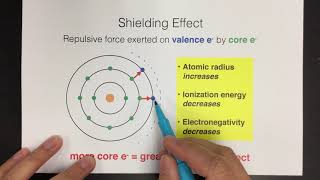 Shielding Effect [upl. by Marie]