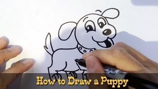 How to Draw a Puppy [upl. by Newmark]