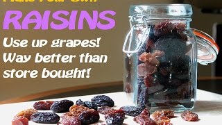 Make Your Own RAISINSNo dehydratorTRY it [upl. by Zarihs]