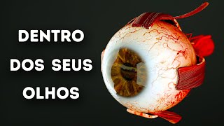 O Que Acontece Dentro Dos Seus Olhos [upl. by Bussey]