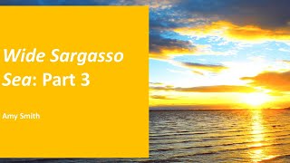 Wide Sargasso Sea Part 3 [upl. by Hilarius]