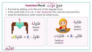 Beginners Arabic  Lesson 14  Arabic Plurals [upl. by Leirbaj]