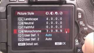 Canon 600D T3i best DSLR movie settings [upl. by Nazar]