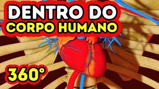 O que acontece dentro do seu corpo  360 VR [upl. by Eillah456]