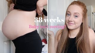 3738 Week Pregnancy Update Baby isnt moving Am I Going Into Labor [upl. by Retsub]