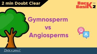 Angiosperms Vs Gymnosperms  Quick 2 min Comparison  Basic Concept  Slate and Pencil [upl. by Erdrich414]