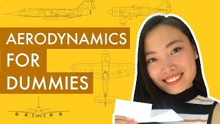 Intro to Aerodynamics How Do Airplanes Fly [upl. by Lemal]