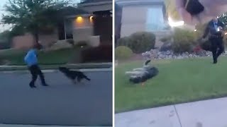 Dog tased by officers investigating domestic dispute [upl. by Noedig915]