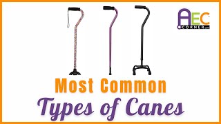 Common Types of Canes [upl. by Sachi]