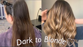 Hand Painted Balayage Ombre Technique  Dark to Blonde Tutorial [upl. by Aicirtam]