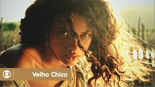 Velho Chico veja cenas da novela das 9 da Globo [upl. by Willet]